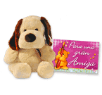 Set de perro y tarjeta.