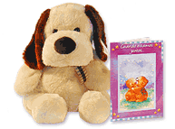 Set de Perro Rigoleto y tarjeta