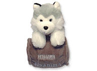 Perro siberiano