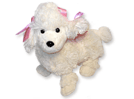 Perro Caniche blanco
