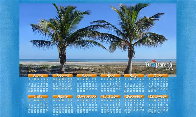 Origen y significado de Calendario Palmeras 2009