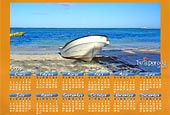 Calendario Bote 2009