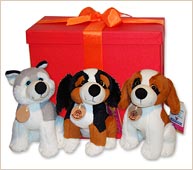 Set de tres cachorros
