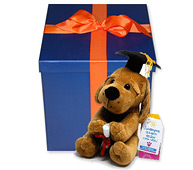 Perro de peluche con gorro de graduado