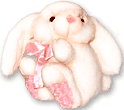 Conejo blanco