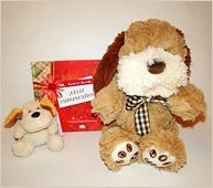 Bonito Set de Perritos y Libro.