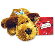 El peluche y libro ideal para regalar.