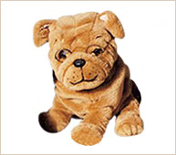 Pequeño Shar-Pei