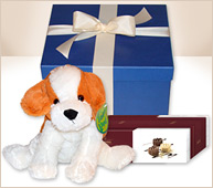 Set con perro de peluche y bombones Havanna.