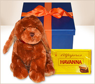 Perro marrón suave y caja de 12 alfajores Havanna