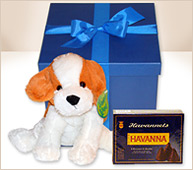 Perro mediano y caja de Havannets