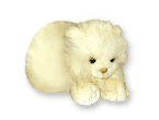 Gato blanco títere