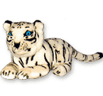 Tigre blanco
