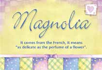 Magnolia