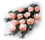 Doce rosas color rosa.