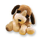 Perrito Lucas.