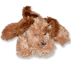 Perrito Doroteo