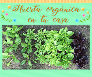 Huerta orgánica en tu casa