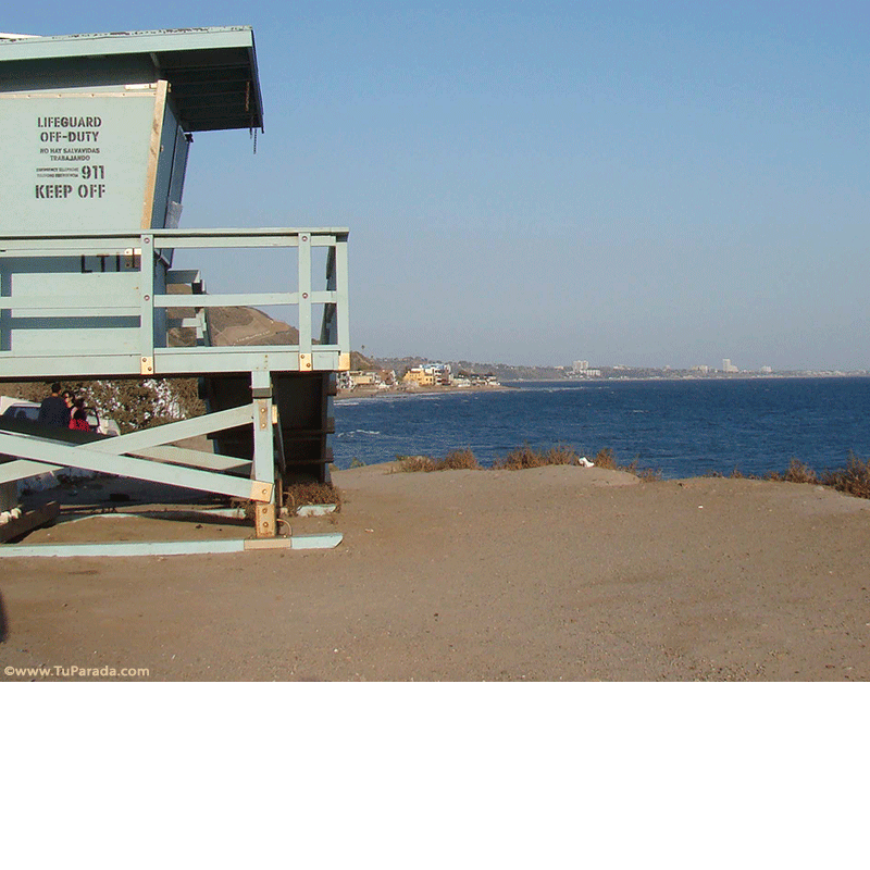 Crear tarjeta de Diseños para descargar