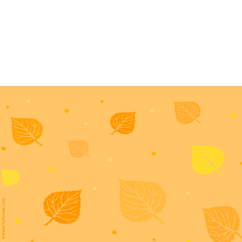 Crear tarjeta de Diseños para descargar