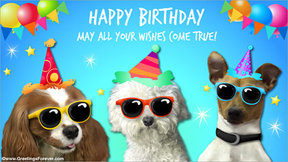 Birthday ecard with funny dogs
