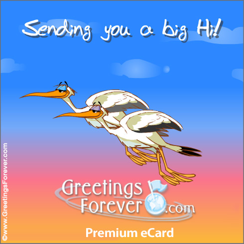 Sending you a big Hi!