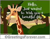 I wish you a beautiful day
