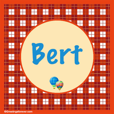 Image Name Bert