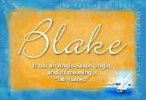Meaning of the name Blake