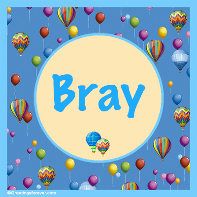 Image Name Bray