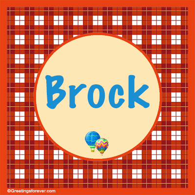 Image Name Brock