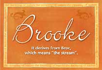 Meaning of the name Brooke