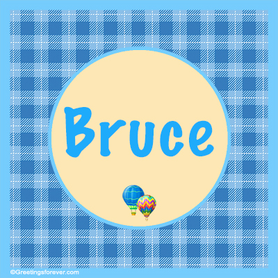 Image Name Bruce