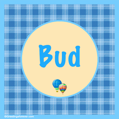 Image Name Bud
