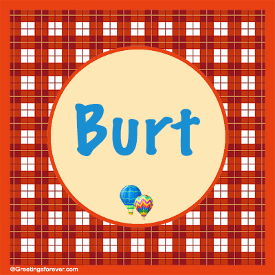 Image Name Burt