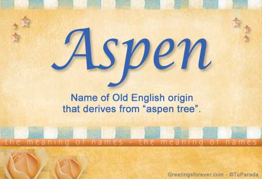 Aspen