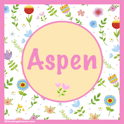 Image Name Aspen