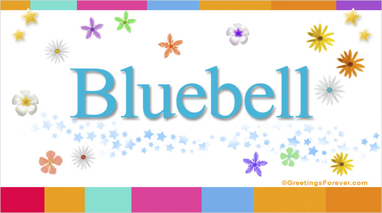 Nombre Bluebell, Imagen Significado de Bluebell