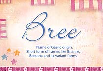 Meaning of the name Bree