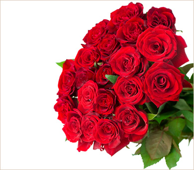 Veinticuatro rosas rojas en gran ramo, Flores a Capital Federal, , regalos,  desayunos, bombones y flores - TuParada.com