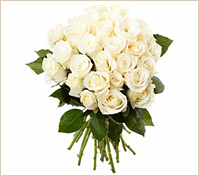 Ramo de veinticuatro rosas blancas