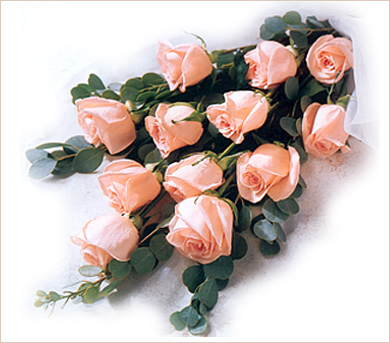 Doce rosas rosadas importadas en ramo pastora Doce rosas rosadas importadas en ramo pastora