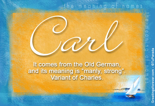 carl and the meaning of life by deborah freedman