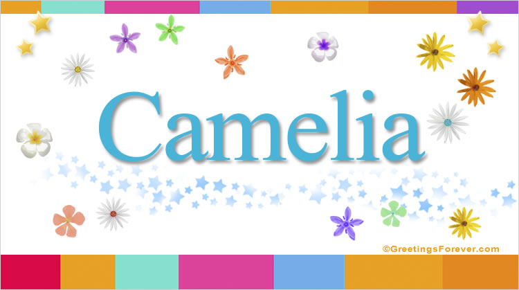 Nombre Camelia, Imagen Significado de Camelia