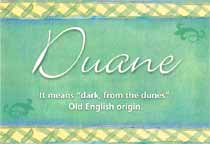 Meaning of the name Duane