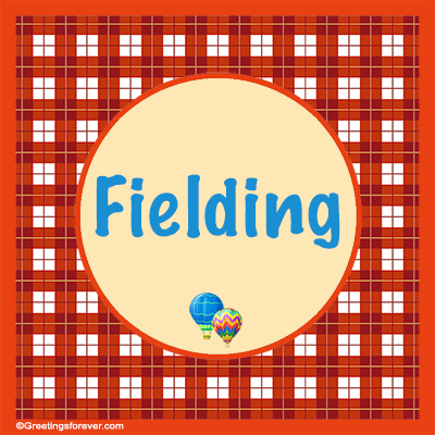 Image Name Fielding
