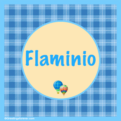 Image Name Flaminio