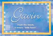 Meaning of the name Gavin