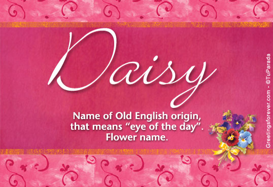 Daisy