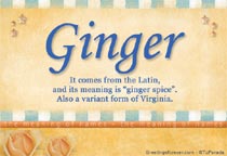 Meaning of the name Ginger